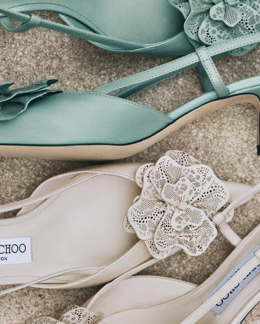 Capri 集团任命首席财务官兼首席运营官