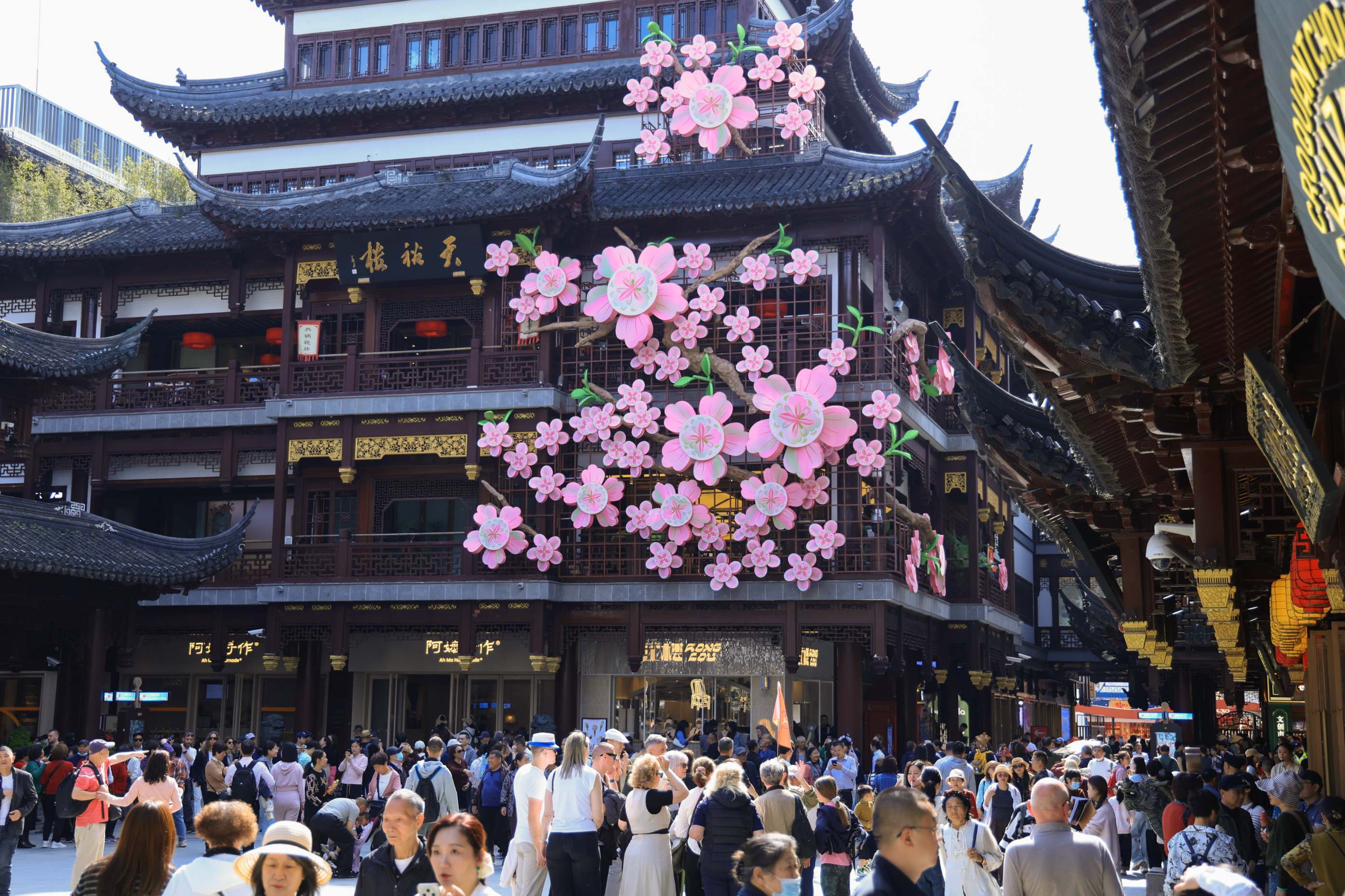 2026上海国际花卉节盛大启幕，大豫园邀您共赴“时空花旅”